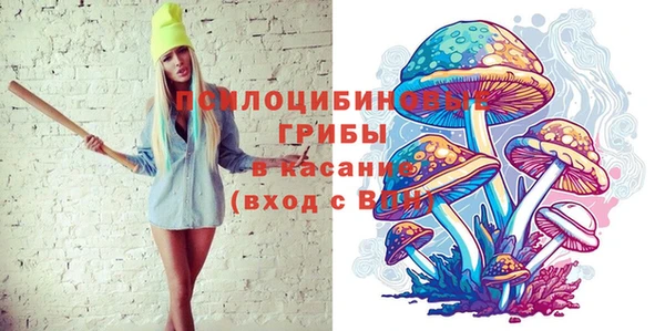 герыч Пересвет