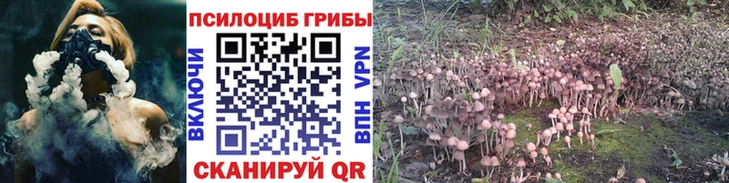 Галлюциногенные грибы ЛСД  где купить наркоту  hydra ТОР  Хилок 